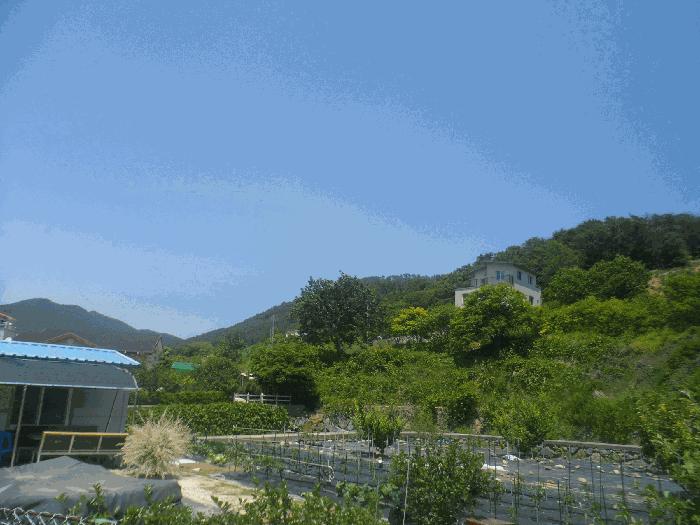 2025타경21422 법원경매 사진5 | 경남 거제시 대지,임야,전답 경매