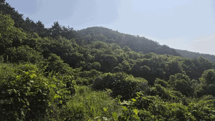 법원경매 2025타경21445 사진2 | 거제시 거제면 법동리 823 답 경매