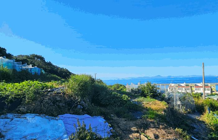2025타경21669 법원경매 사진2 | 경남 거제시 전답 경매