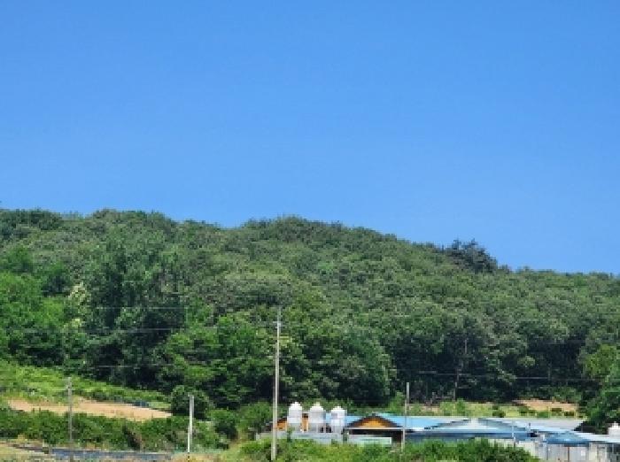 2025타경51335 법원경매 사진5 | 청주 청원구 임야 경매