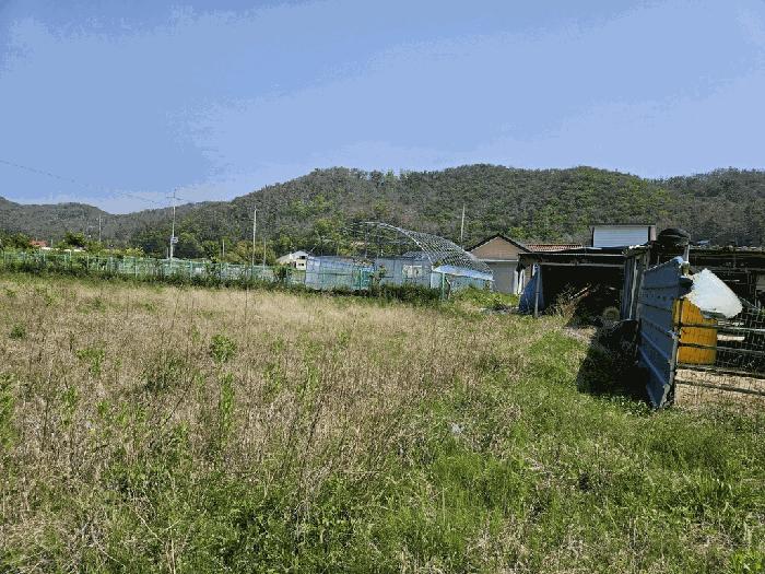 법원경매 2025타경391 사진13 | 경주시 감포읍 오류리 462 전 경매
