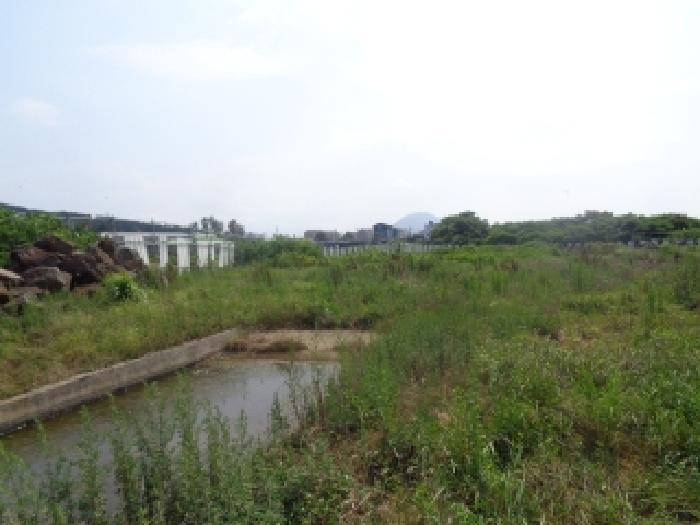 2025타경1489 법원경매 사진8 | 제주 서귀포시 전 경매