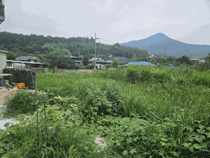 법원경매 2025타경479 사진3 | 경주시 안강읍 사방리 681 답 경매