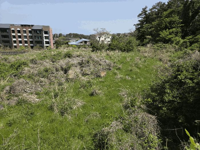 2025타경7925 법원경매 사진6 | 제주 제주시 목장용지 경매