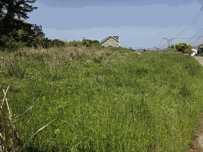2025타경7925 법원경매 사진7 | 제주 제주시 전 경매