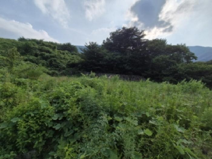 법원경매 2025타경10576 사진5 | 경주시 산내면 대현리 2652-5 임야 경매