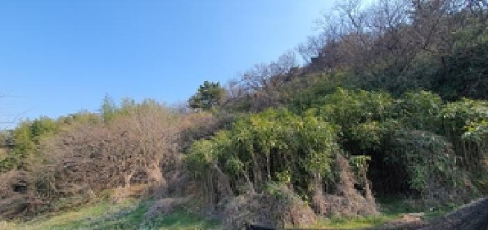 2025타경372 법원경매 사진2 | 경남 김해시 전 경매