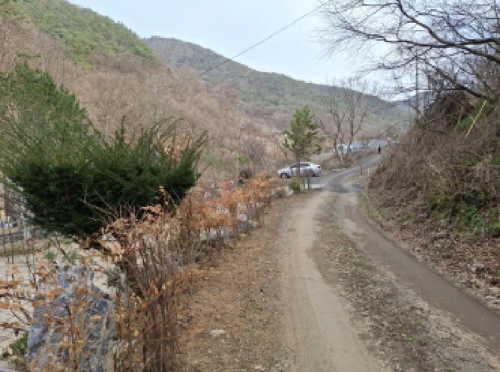 2025타경1580 법원경매 사진45 | 대전 동구 임야 경매