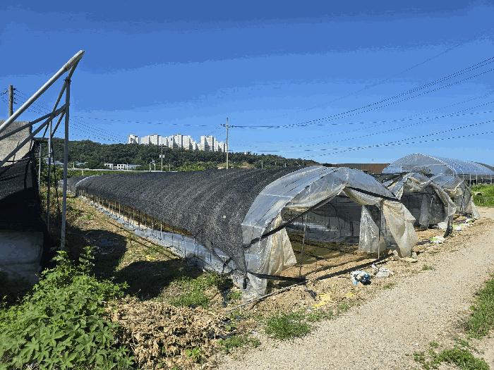 법원경매 2025타경72560 사진3 | 양주시 봉양동 354-1 전 경매