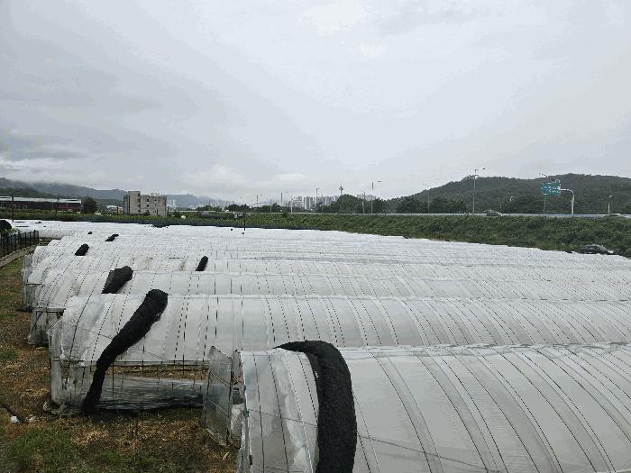법원경매 2025타경72560 사진7 | 양주시 봉양동 354-1 전 경매