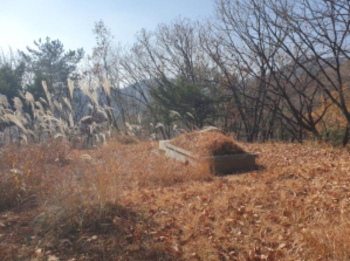 법원경매 2024타경85663 사진11 | 남양주시 호평동 임야 경매