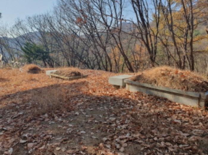 법원경매 2024타경85663 사진16 | 남양주시 호평동 임야 경매