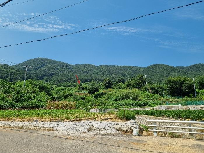 법원경매 2024타경107444 사진2 | 부산 강서구 동선동 972 답 경매