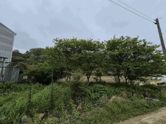 2025타경2994 법원경매 사진7 | 광주 광산구 공장 경매