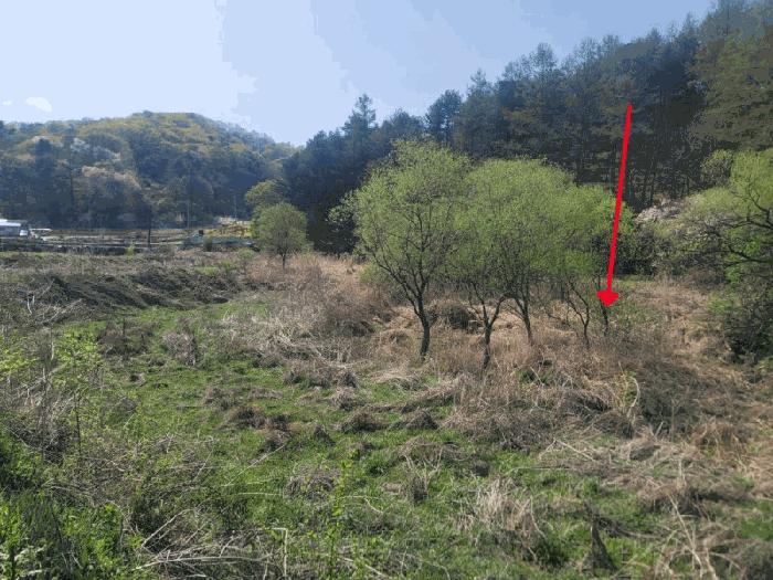2025타경71544 법원경매 사진6 | 경기 가평군 아파트 경매