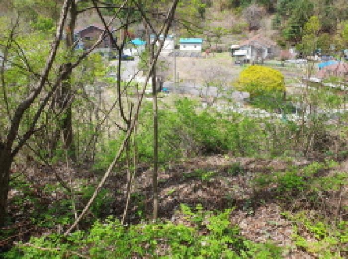 법원경매 2025타경71559 사진10 | 가평군 설악면 회곡리 388-6 전 경매