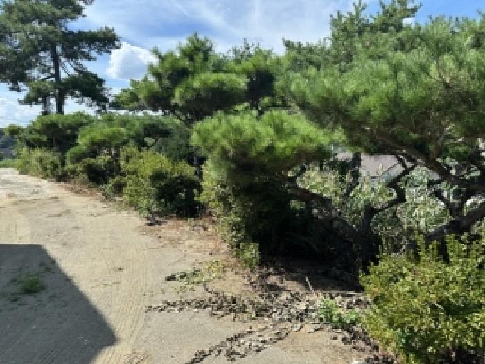 2025타경4087 법원경매 사진5 | 충북 괴산군 주택건물 경매