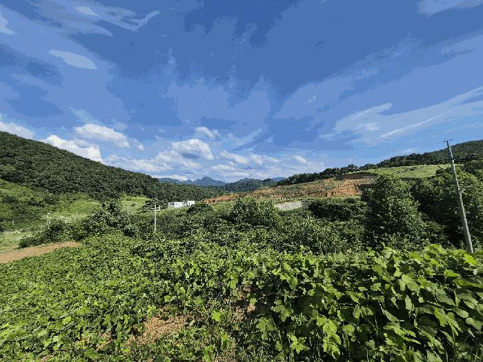 충청북도 괴산군 청천면 금평리 20-1 법원경매 물건 대표사진