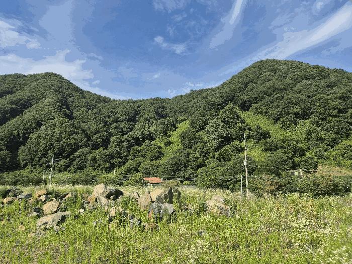 2025타경51420 법원경매 사진4 | 충북 괴산군 전 경매