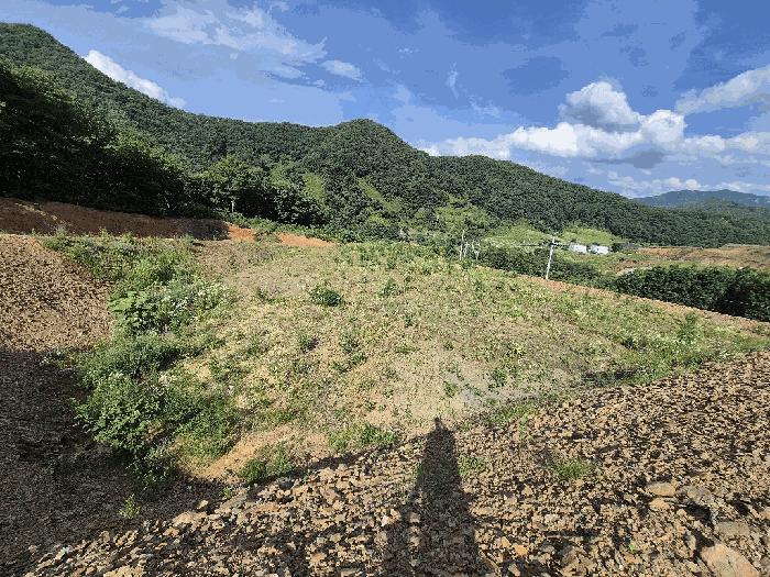 2025타경51420 법원경매 사진6 | 충북 괴산군 전 경매