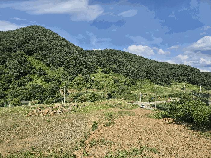 2025타경51420 법원경매 사진9 | 충북 괴산군 전 경매