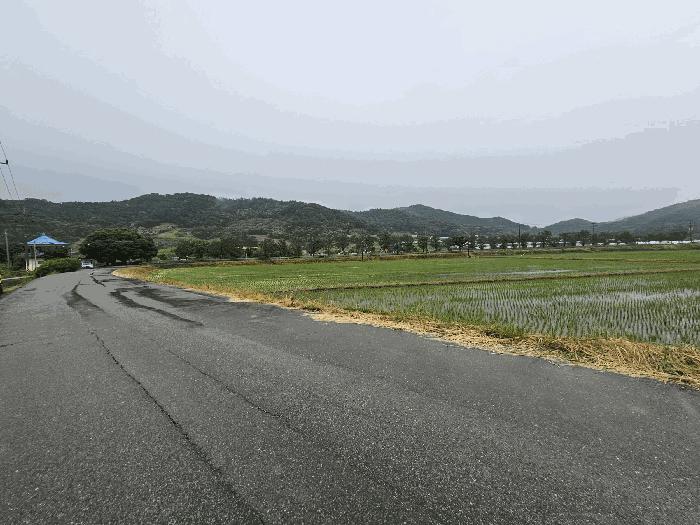 2025타경502569 법원경매 사진2 | 세종 전동면 답 경매