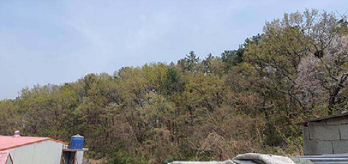 2025타경11273 법원경매 사진5 | 경남 김해시 임야 경매