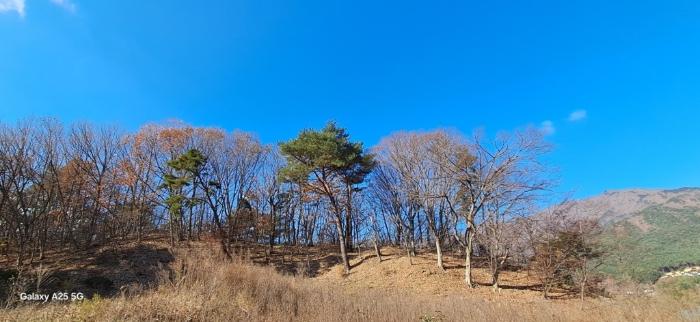 법원경매 2024타경9510 사진4 | 울산 울주군 상북면 덕현리 임야 경매