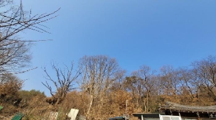 2024타경3509 법원경매 사진3 | 경남 함안군 전 경매