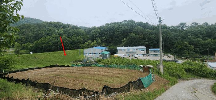 2025타경203 법원경매 사진2 | 경남 함안군 전 경매