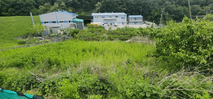 2025타경203 법원경매 사진3 | 경남 함안군 전 경매