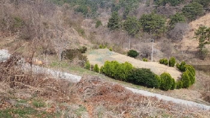 2025타경20459 법원경매 사진6 | 창원 마산합포구 전 경매