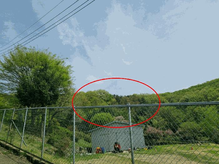 법원경매 2025타경1452 사진3 | 광주시 탄벌동 임야 경매