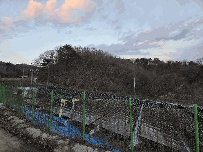 법원경매 2025타경329 사진3 | 원주시 소초면 교항리 874-2 임야 경매