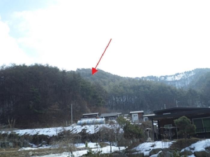 법원경매 2025타경20466 사진2 | 횡성군 청일면 임야 경매