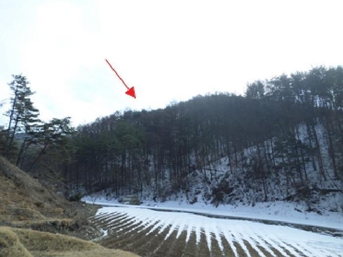 법원경매 2025타경20466 사진3 | 횡성군 청일면 임야 경매