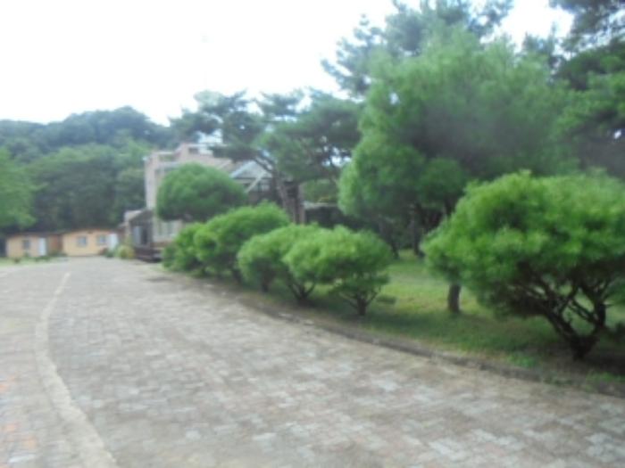 2024타경33692 법원경매 사진9 | 충북 충주시 단독주택 경매