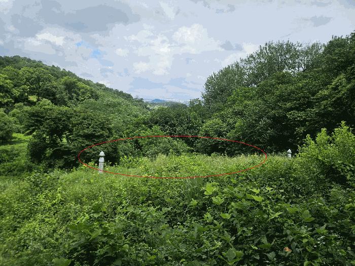 법원경매 2025타경42038 사진2 | 평택시 오성면 양교리 임야 경매