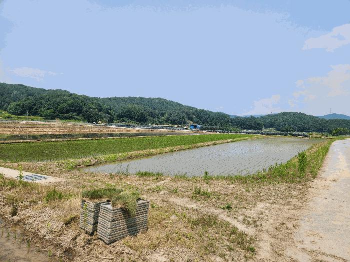 충청북도 충주시 앙성면 모점리 39 법원경매 물건 대표사진