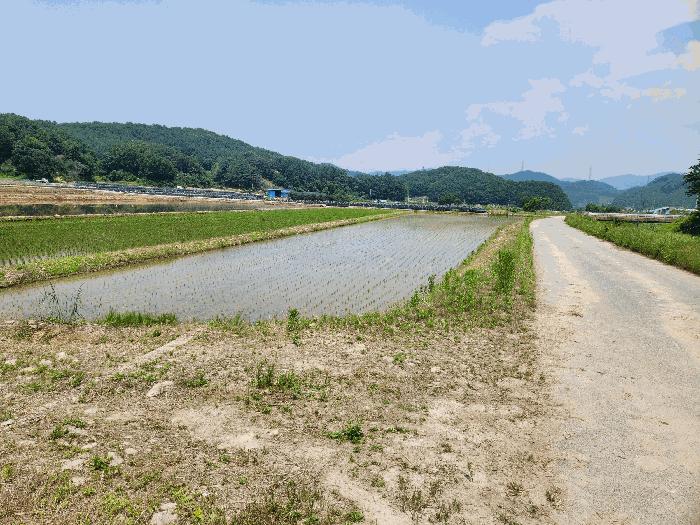 2025타경30537 법원경매 사진3 | 충북 충주시 답 경매
