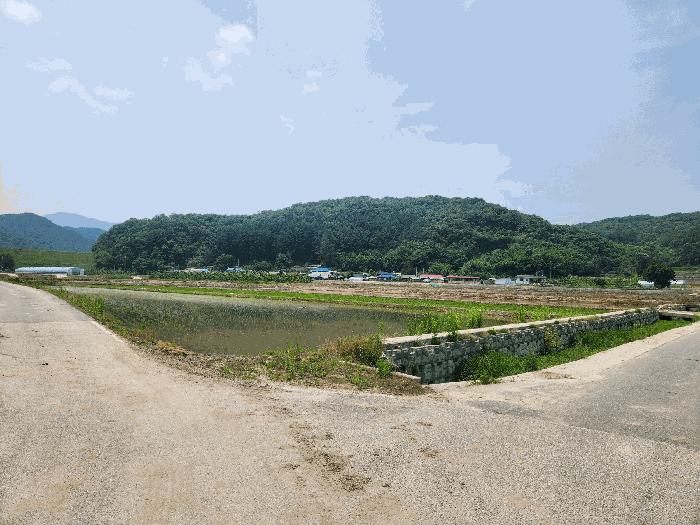 2025타경30537 법원경매 사진4 | 충북 충주시 답 경매