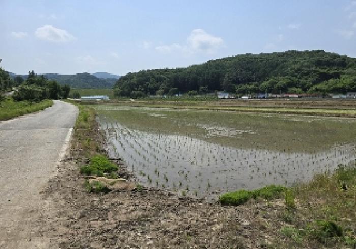 2025타경30537 법원경매 사진5 | 충북 충주시 답 경매