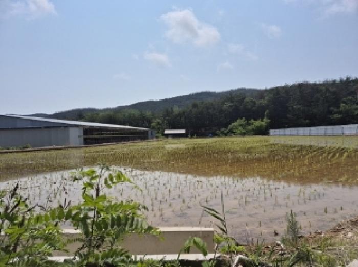 법원경매 2025타경3776 사진4 | 포항시 북구 청하면 미남리 70 답 경매