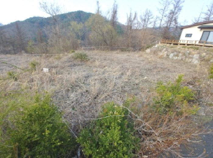 2025타경2453 법원경매 사진29 | 충남 금산군 임야 경매
