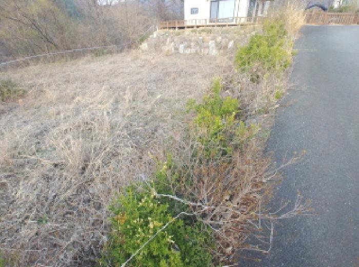 2025타경2453 법원경매 사진30 | 충남 금산군 임야 경매