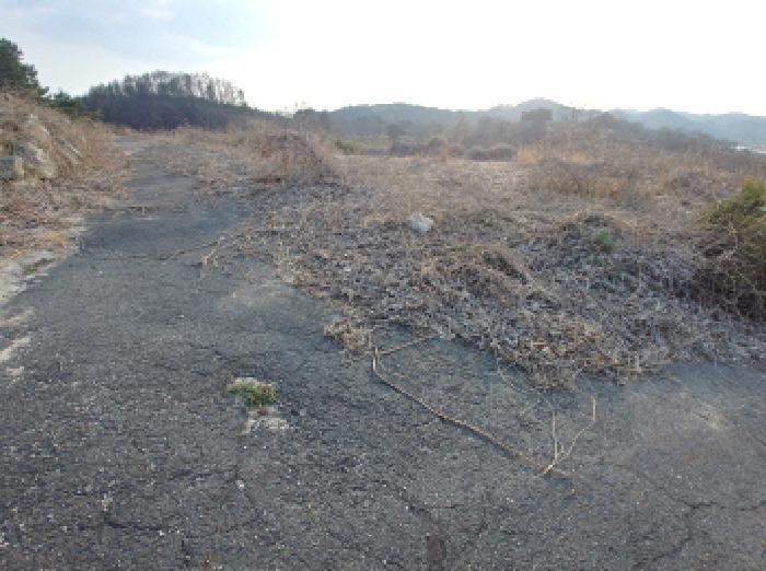 2025타경2453 법원경매 사진33 | 충남 금산군 임야 경매