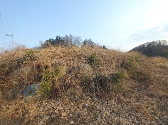 2025타경2453 법원경매 사진36 | 충남 금산군 임야 경매