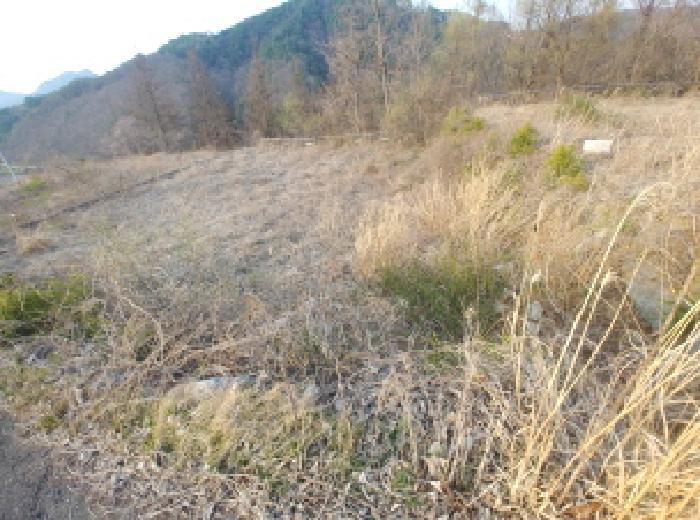 2025타경2453 법원경매 사진44 | 충남 금산군 임야 경매