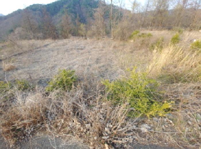 2025타경2453 법원경매 사진45 | 충남 금산군 임야 경매