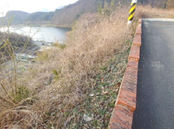 2025타경2453 법원경매 사진48 | 충남 금산군 임야 경매